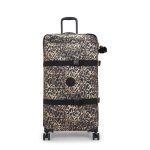 Spontaneous Large Printed Rolling Luggage