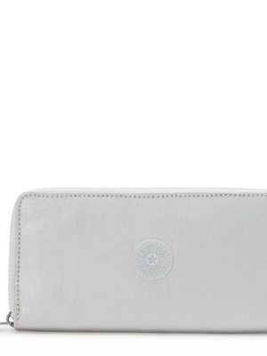 Money World Metallic Wallet