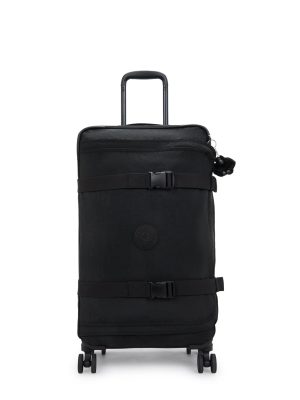 Spontaneous Medium Rolling Luggage