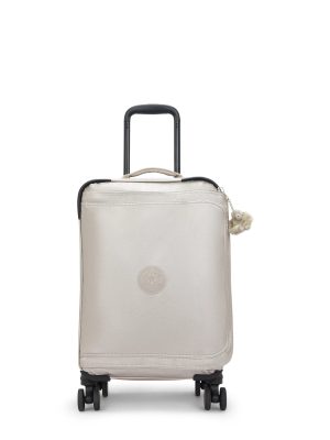 Spontaneous Small Metallic Rolling Luggage